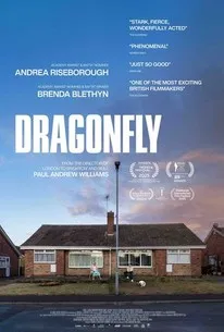 Dragonfly film poster
